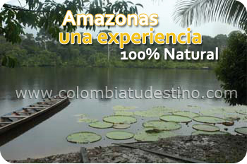 Plan Amazonas Semana de Receso Escolar