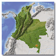 Amazonas