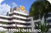 Hotel del Llano