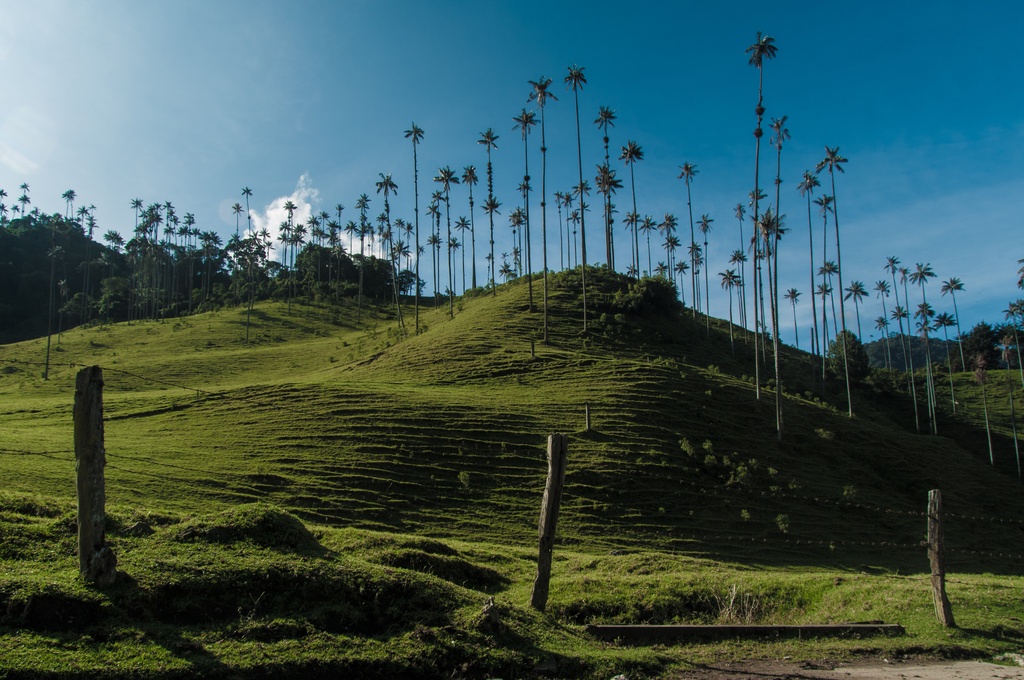 Turismo de Naturaleza en Colombia 4