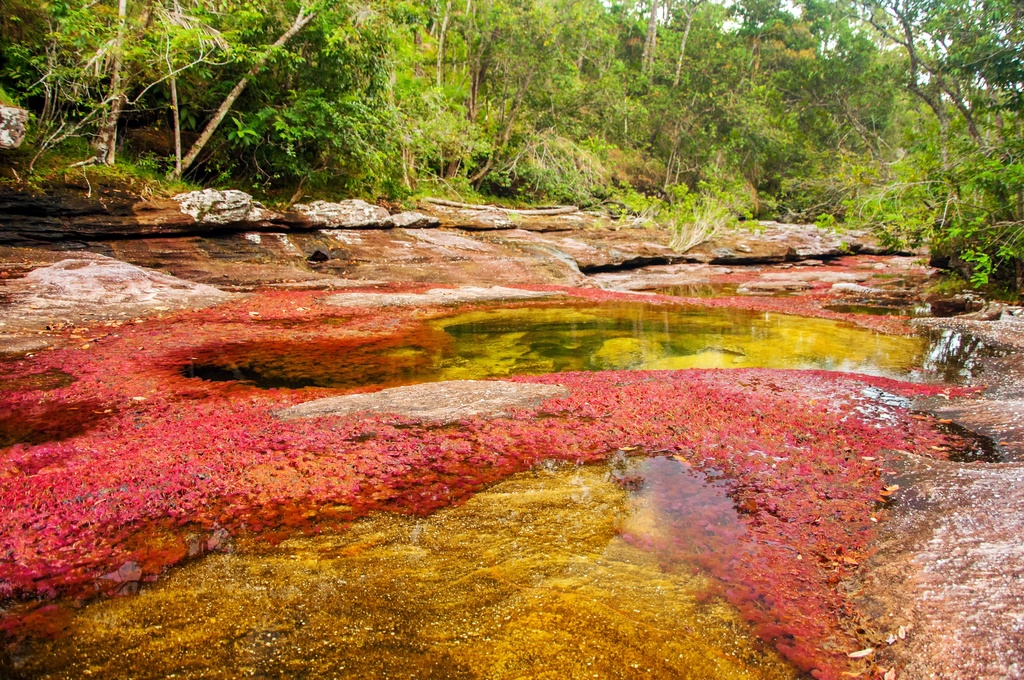 Turismo de Naturaleza en Colombia