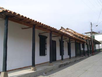 Departamento del Tolima 11