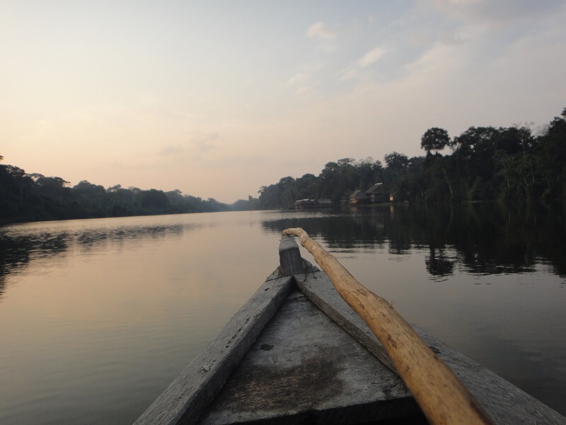 Amazonas clásico 5