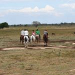 Cabalgata Llanera