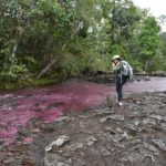 Tour Fotográfico por Caño Cristales