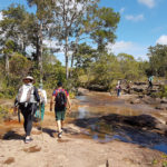 Trekking en La Macarena