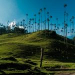 Valle del Cocora, Quindío