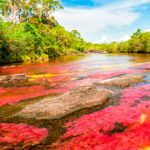 caño-cristales1