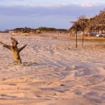 La-guajira-mayapo-533×261